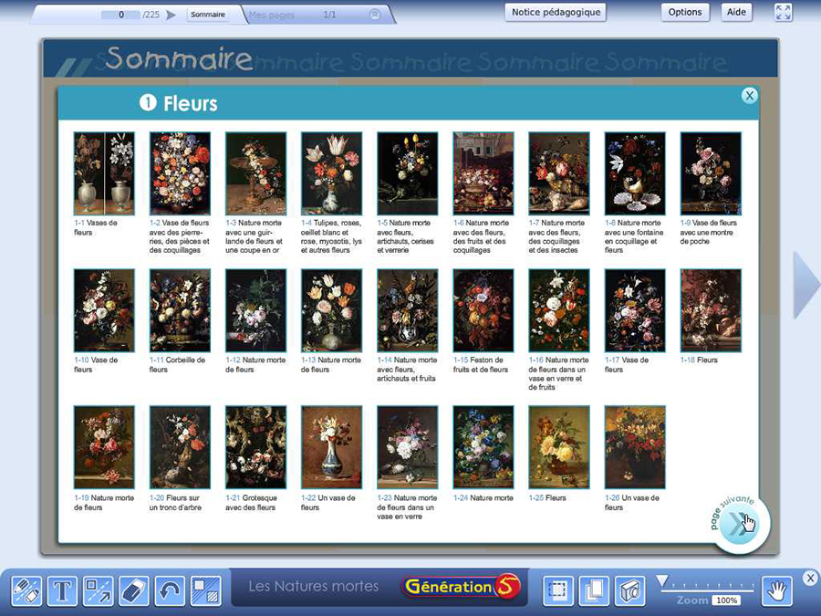 Les fleurs - Natures Mortes