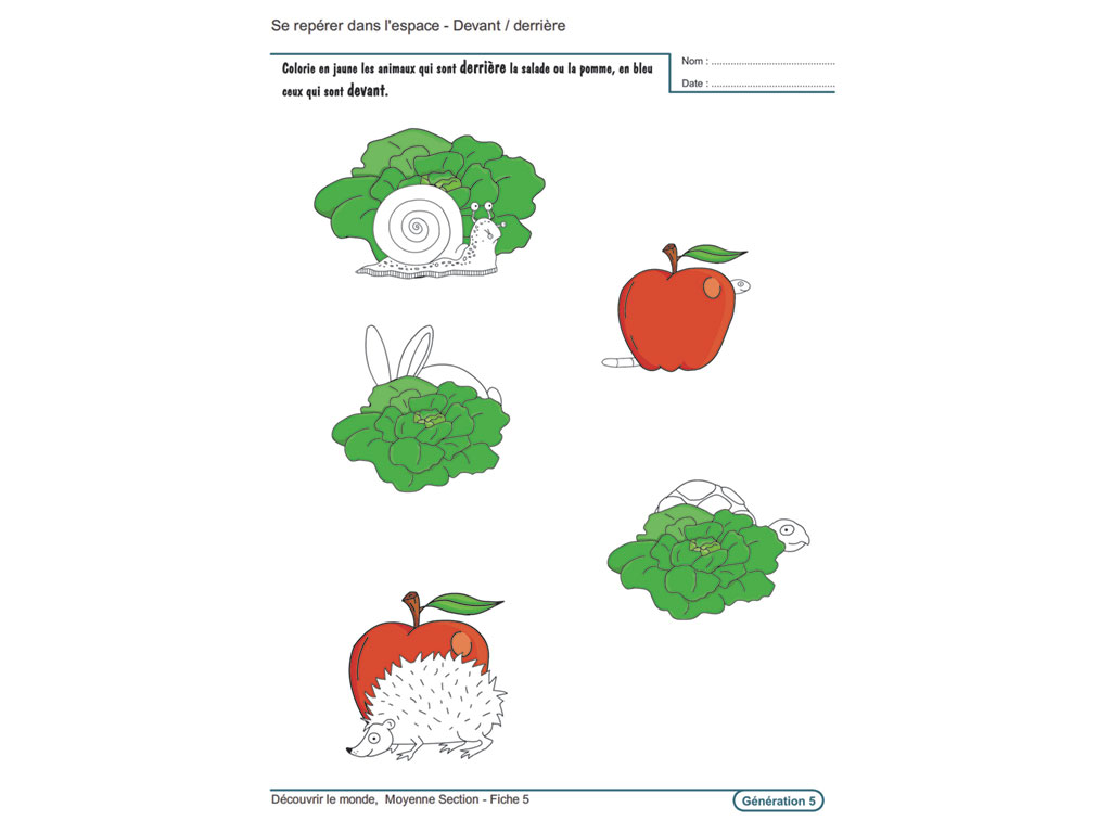 Fiche Maternelle - Découvrir le monde - Moyenne section