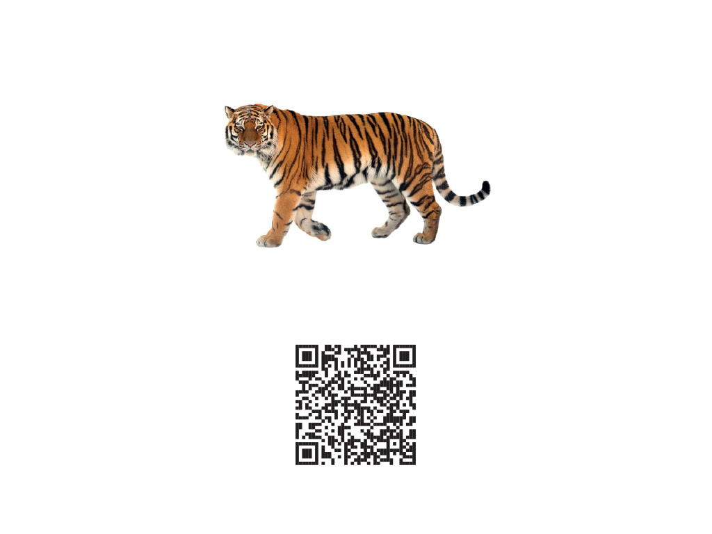Carte augmentée animaux - QR code