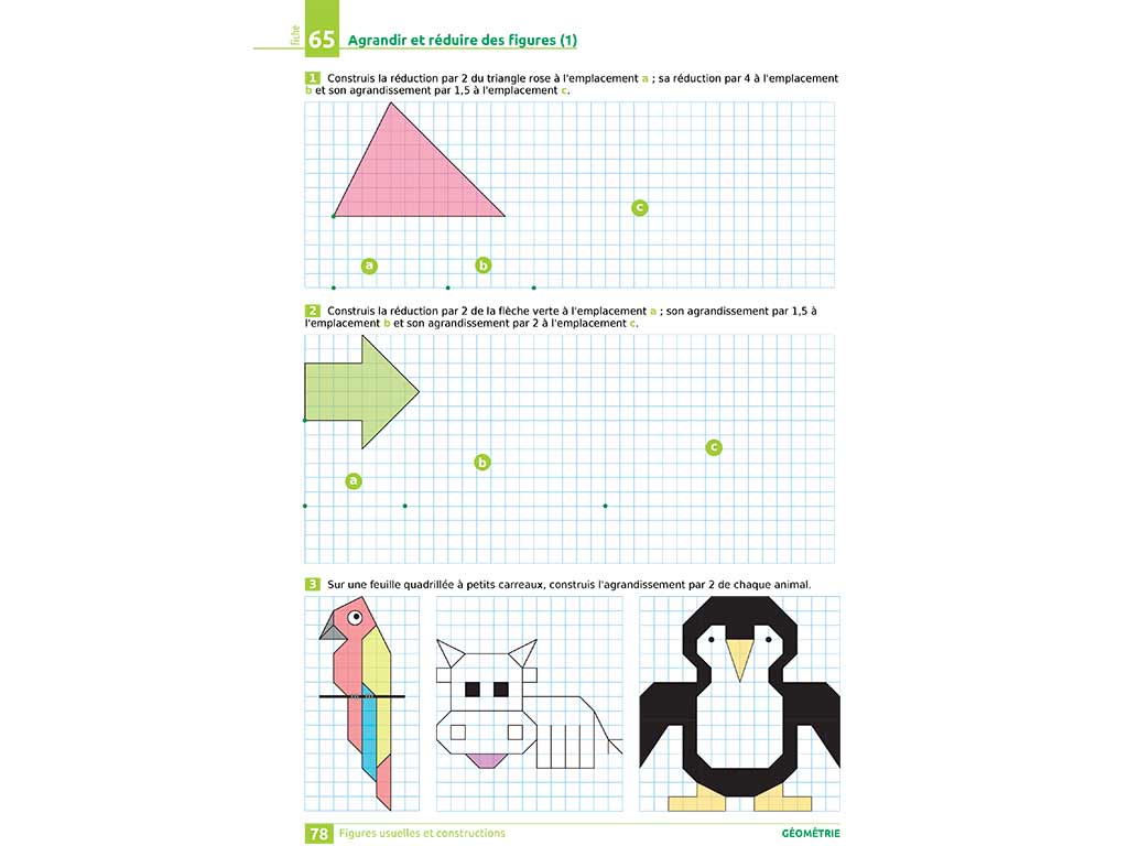 Agrandir et réduire des figures - iParcours maths